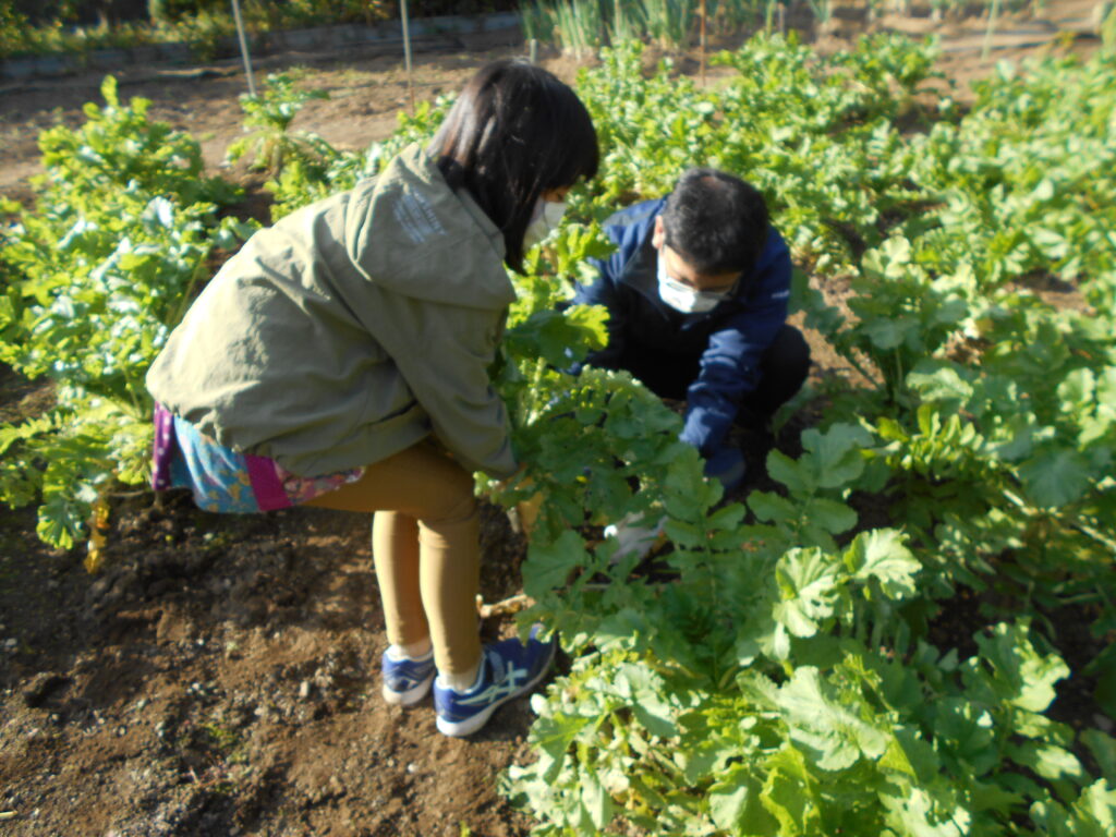 地域貢献活動 – 養護老人ホーム 美山苑